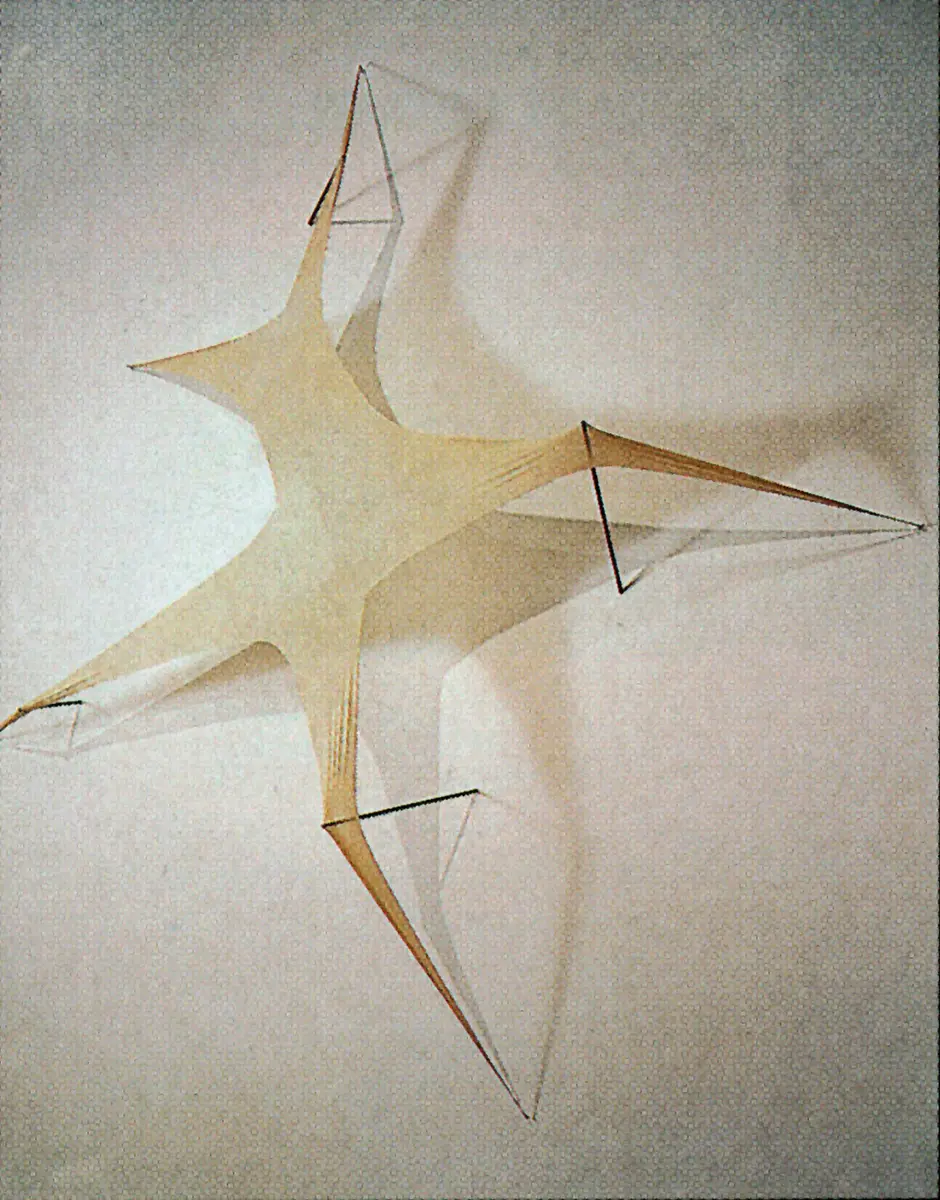 Exposición: Am.ne.sia — imagen 4