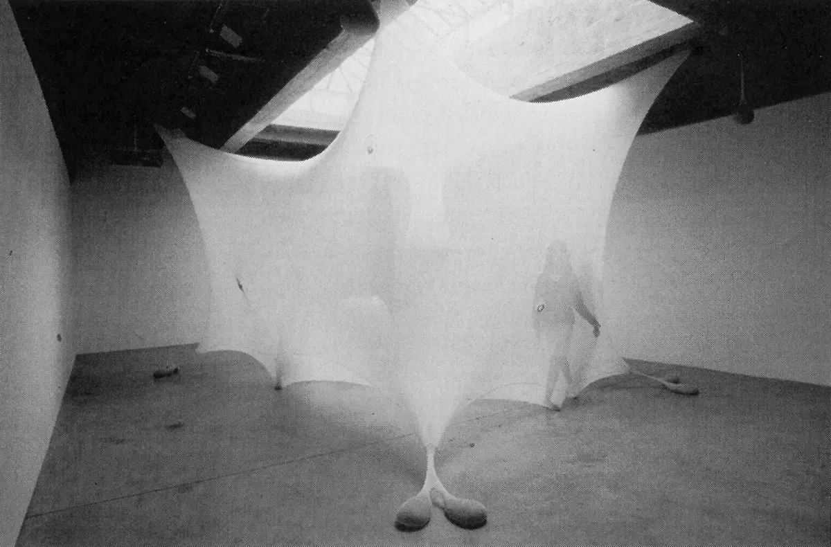 Exposición Individual: Ernesto Neto — imagen 1