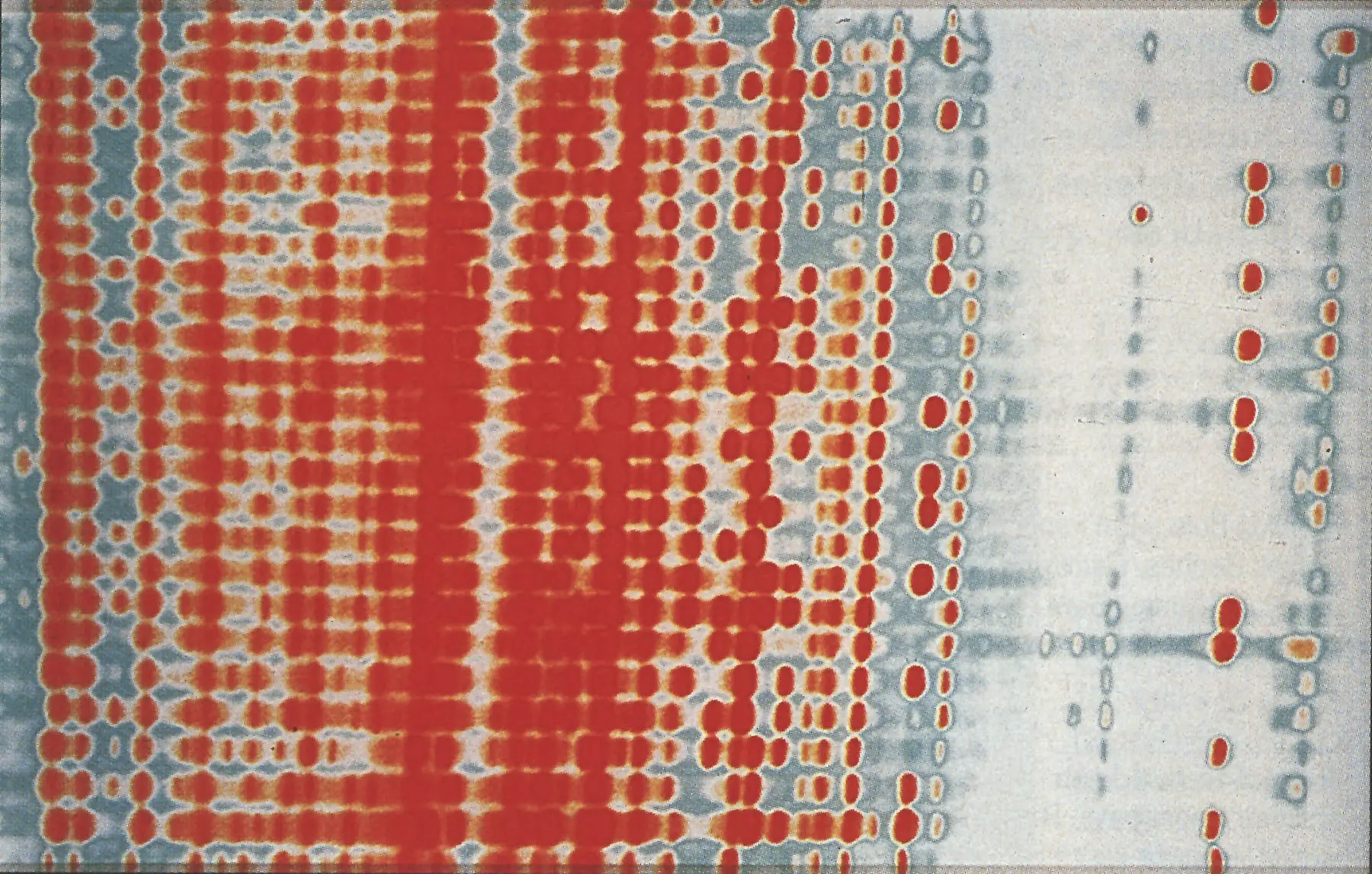 Manglano-Ovalle
