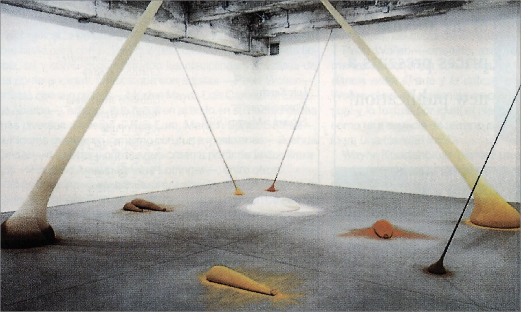 Lygia Pape y Ernesto Neto