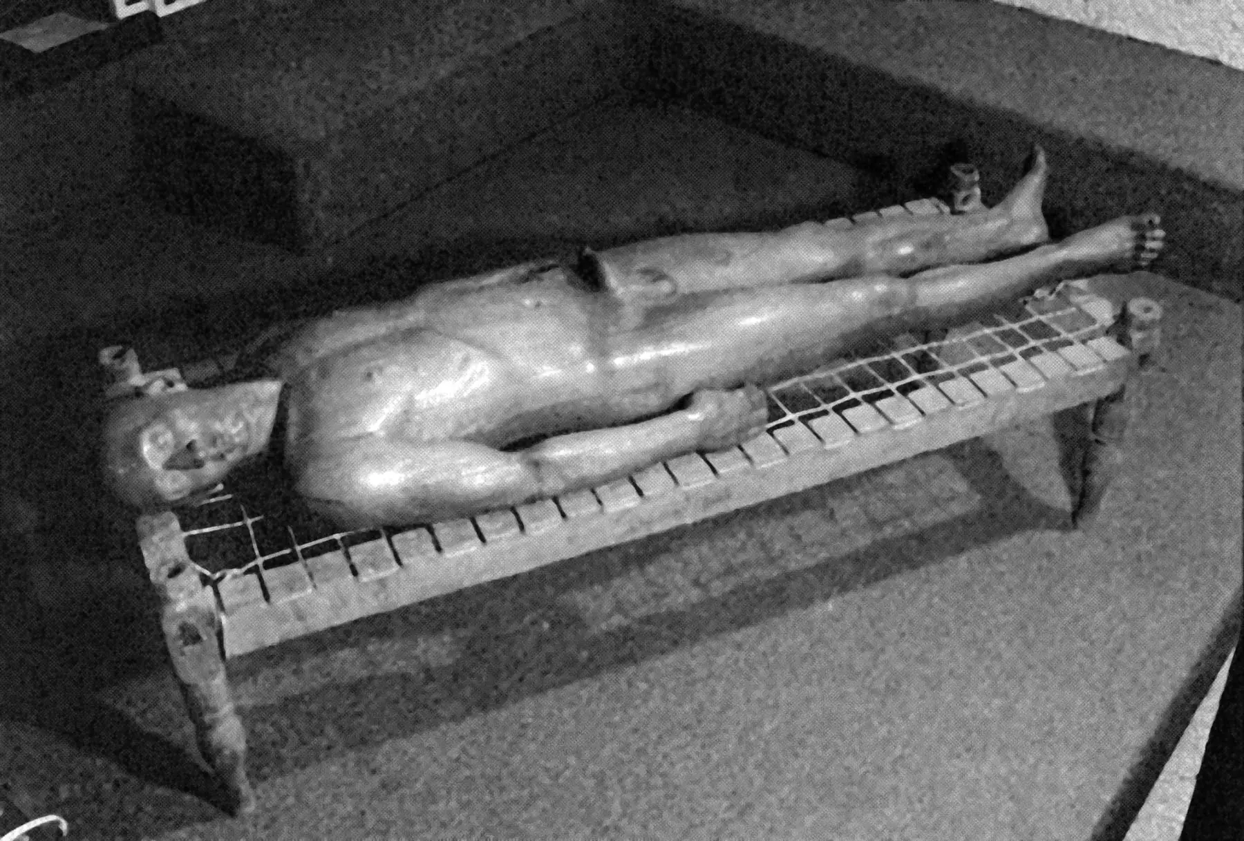 El cuerpo aludido anatomías y construcciones