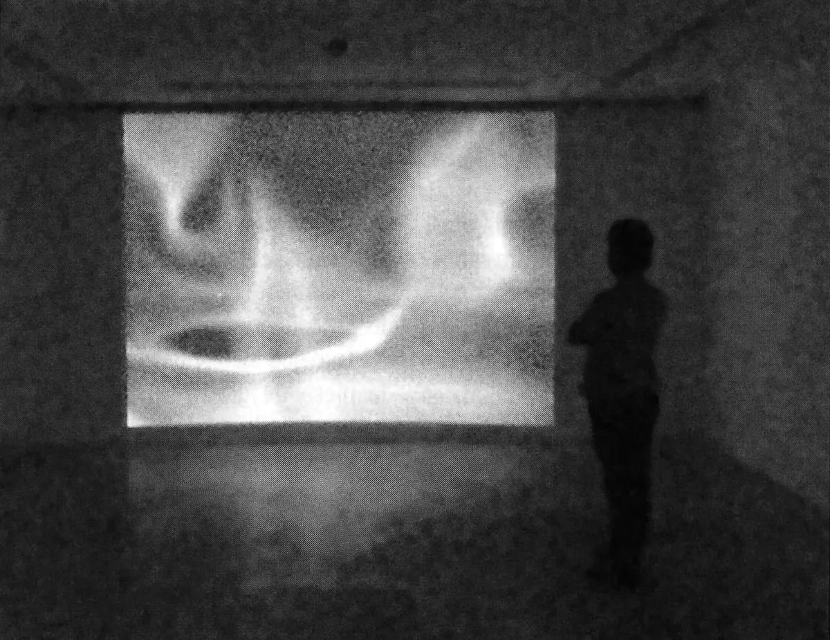 Exposición Individual: Magdalena Fernández — imagen 1