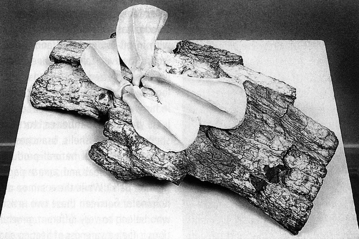 Exposición Individual: Yolanda Gutiérrez — imagen 1