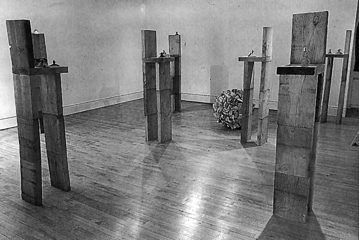 Exposición Individual: Sylvia Benítez y Carlos Juhasz Alvarado — imagen 1