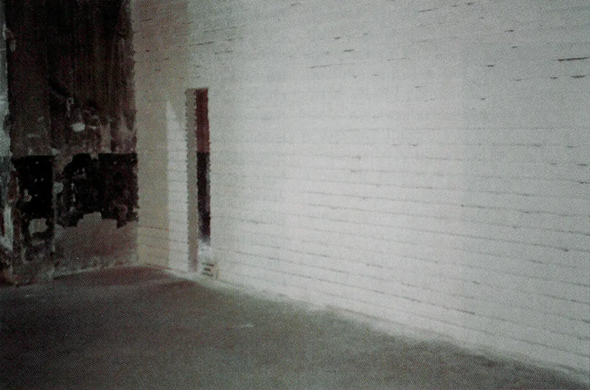 Bienal: Bienal de Venecia — imagen 3