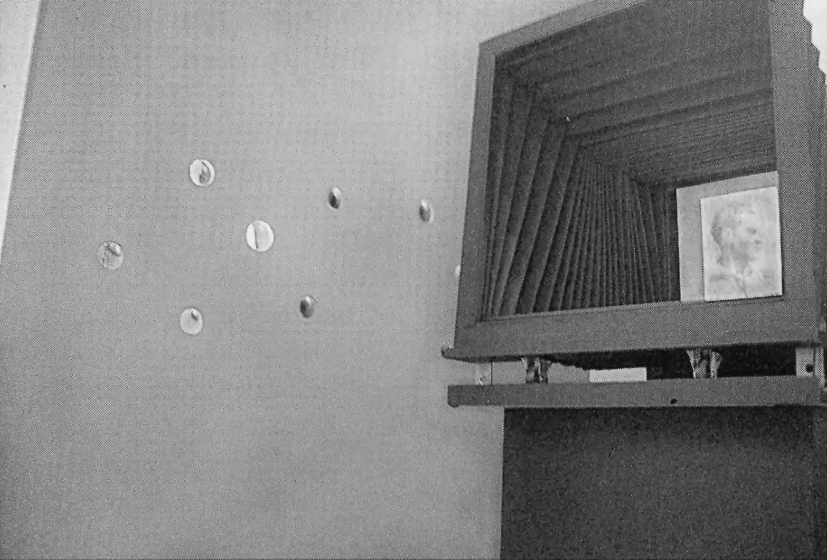 Colectiva: El arte del nuevo medio: doce propuestas electrónicas — imagen 3