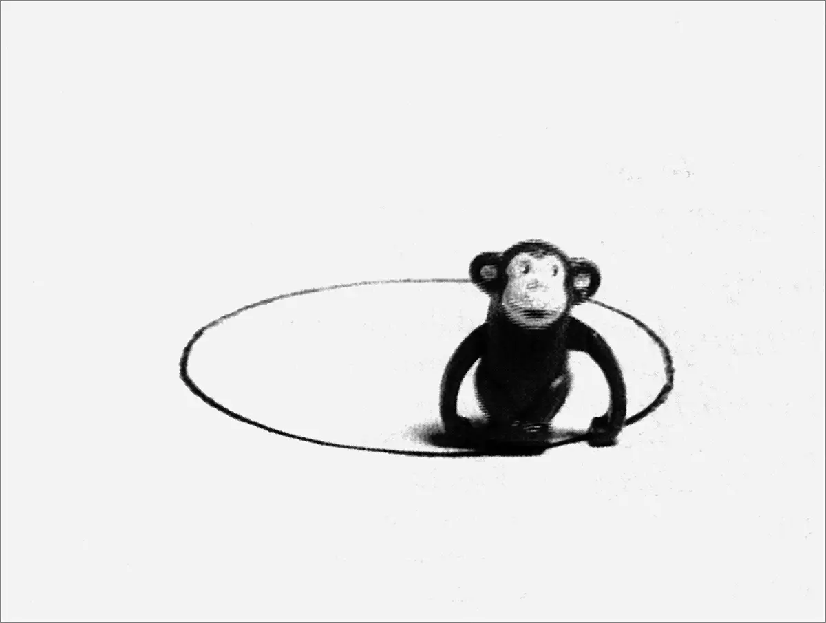 Monografía: Liliana Porter — imagen 5