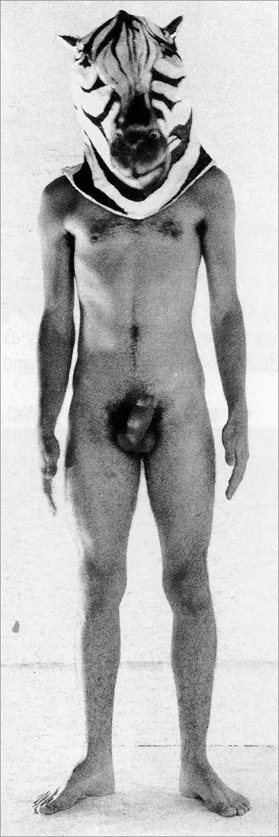 Colectiva: Veleidades — imagen 1