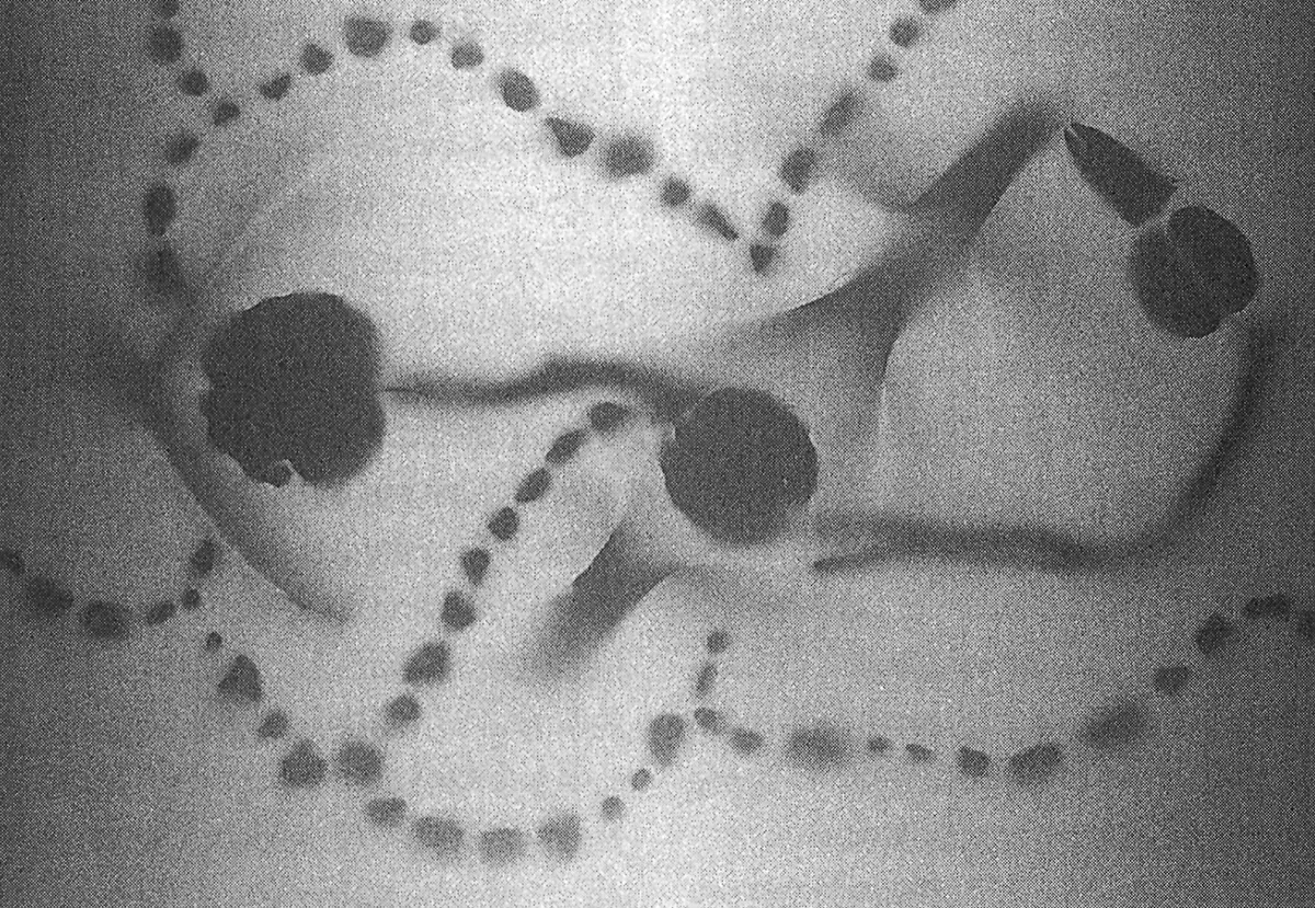 Exposición Individual: María Martínez-Cañas — imagen 1