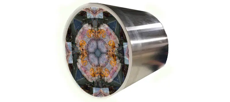Sandra Ramos: Entropydoscopes