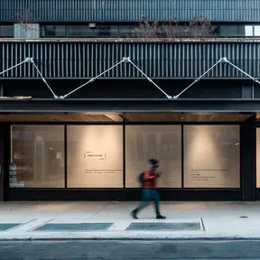 Galería Nara Roesler New York