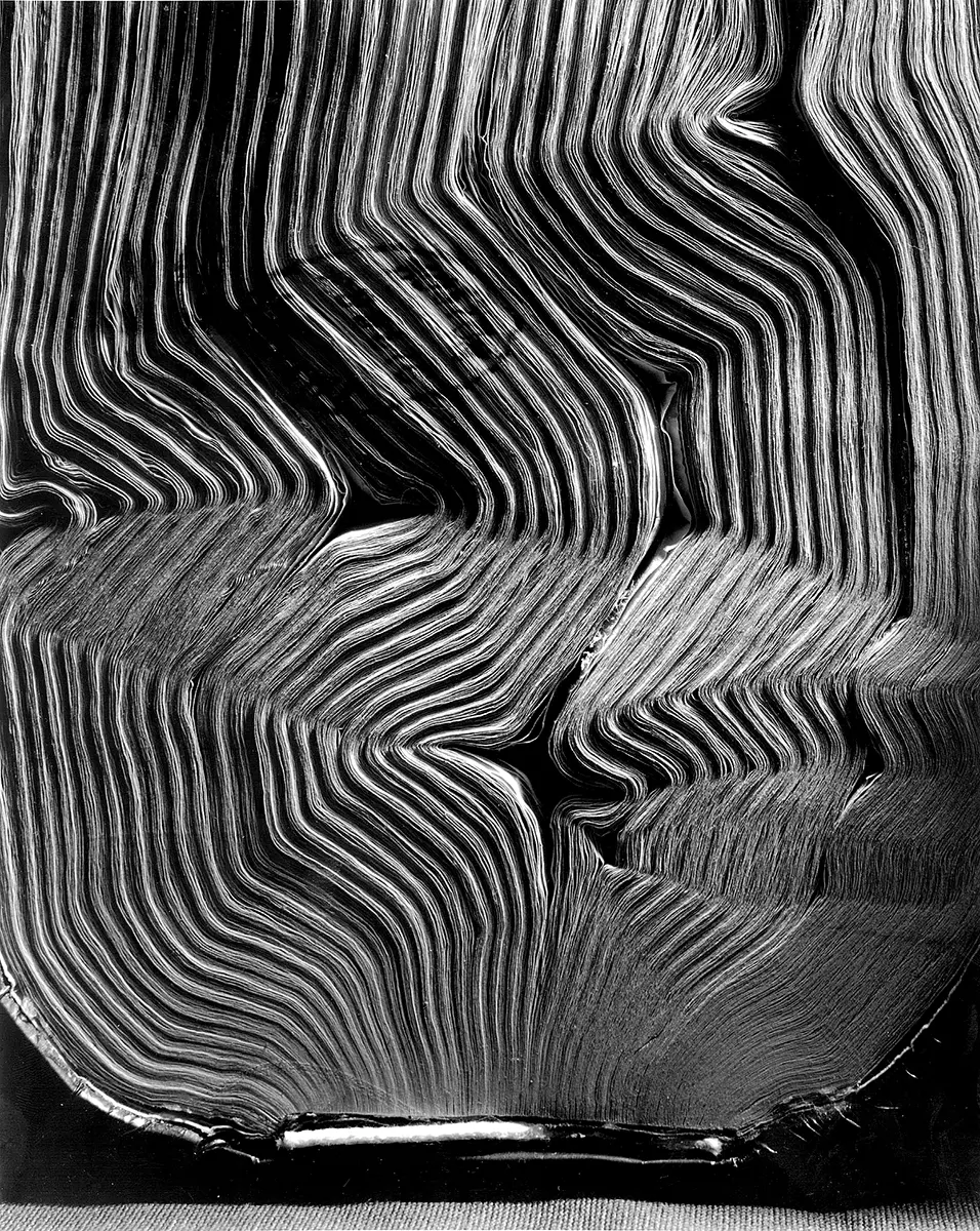 Exposición Individual: Abelardo Morell — imagen 1