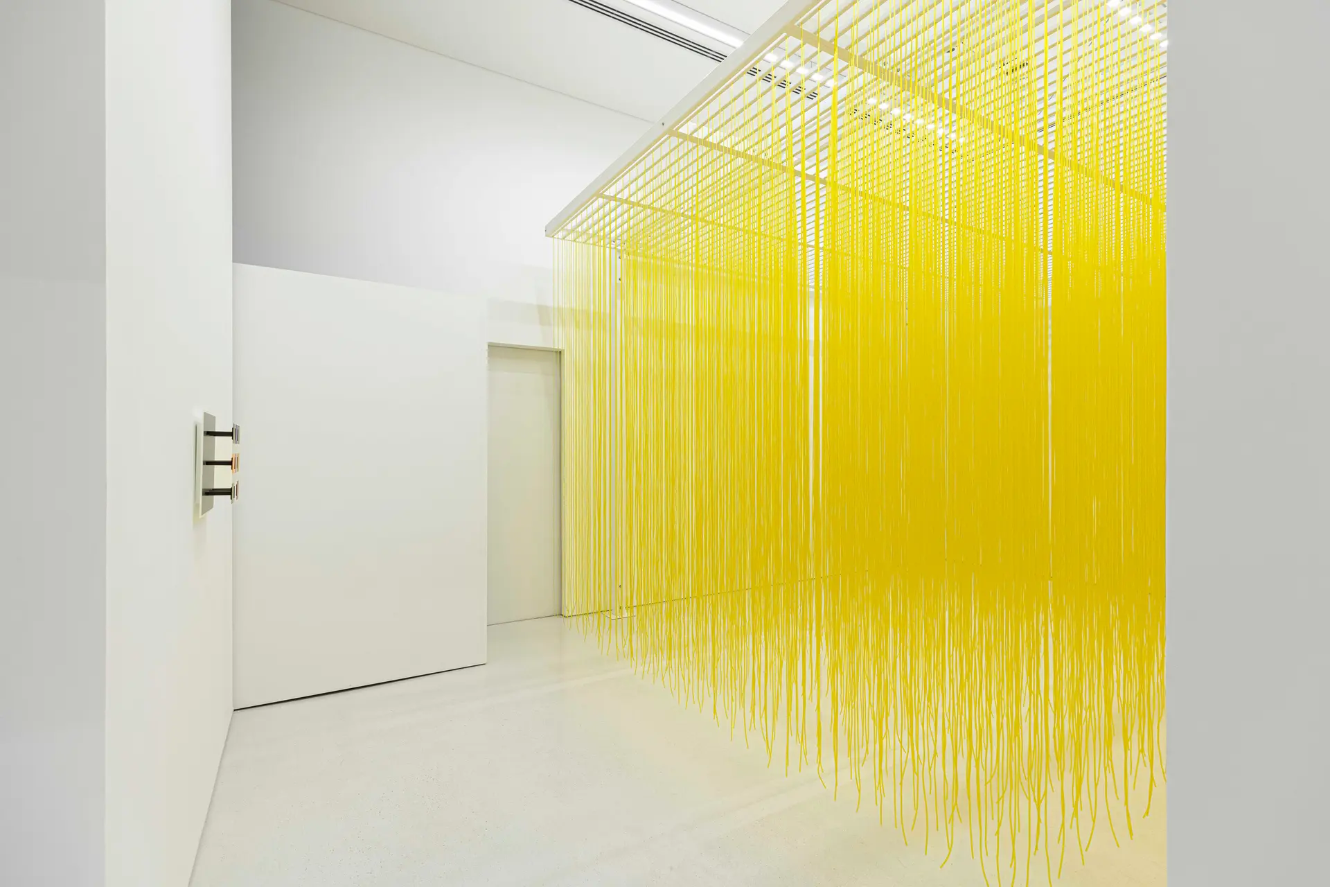 Imagen 2 de Dan Galeria Contemporánea
