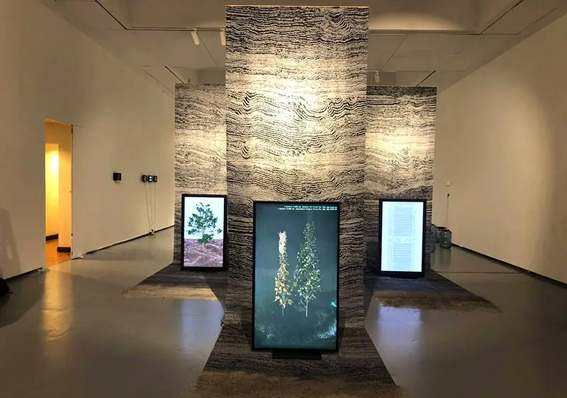 Atractor y Semántica. Premio Ars Electronica Golden Nica