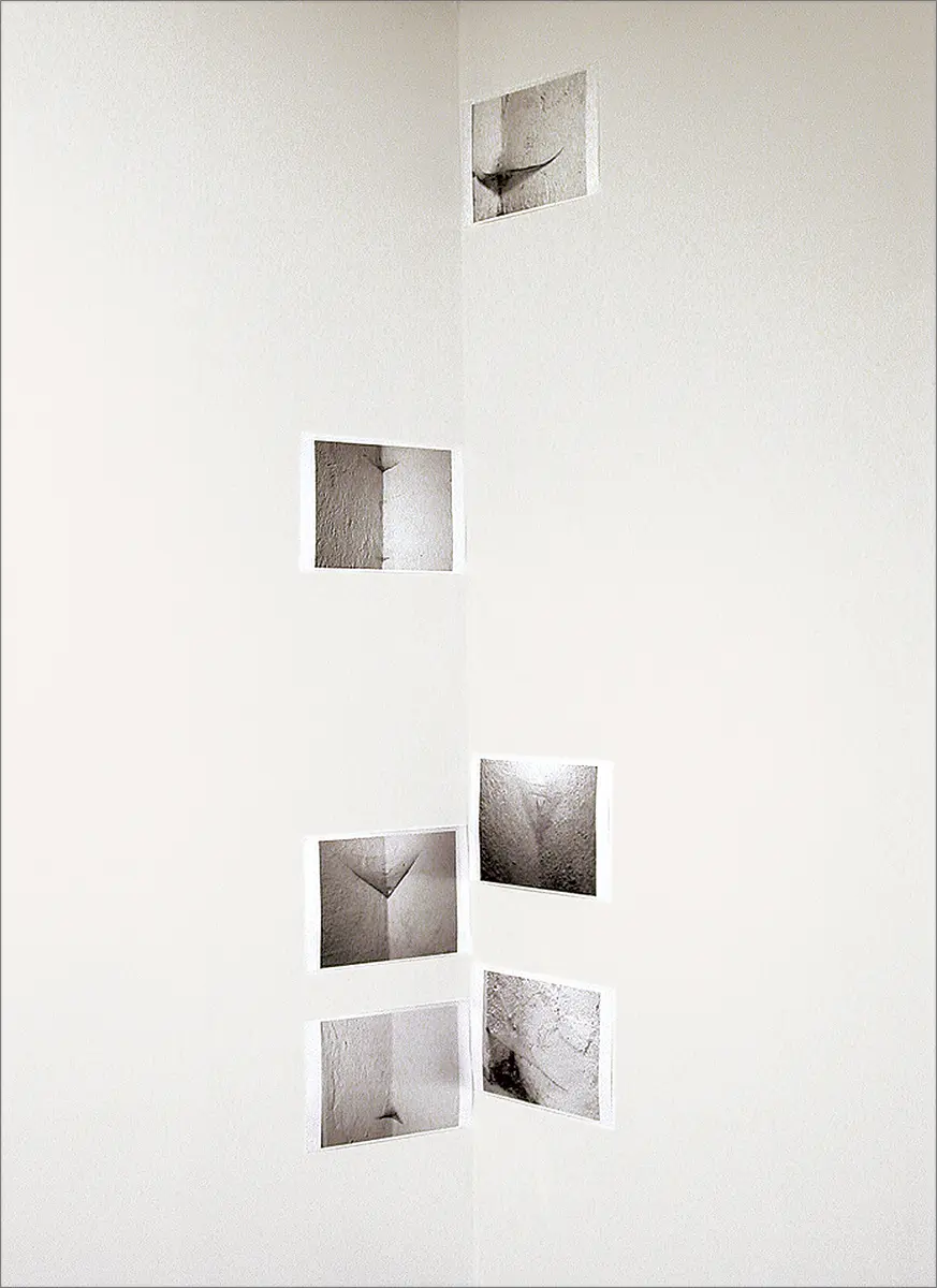 Exposición: El Premio Luis Caballero — imagen 4
