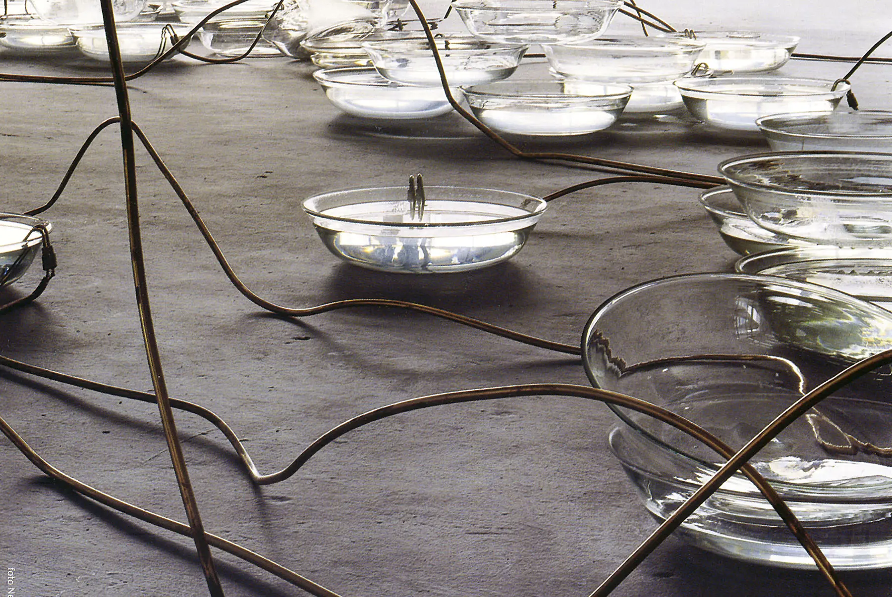 Art Basel Miami 2003