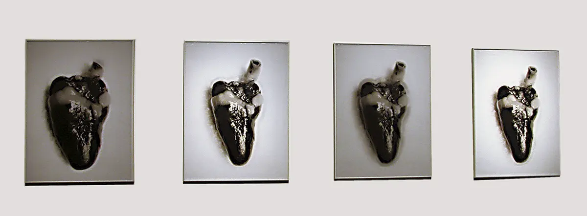 Exposición Individual: Hildebrando de Castro — imagen 1