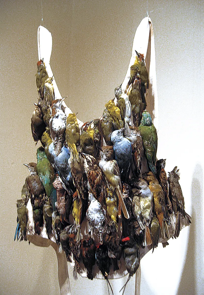 Exposición Individual: Cecilia Paredes — imagen 1