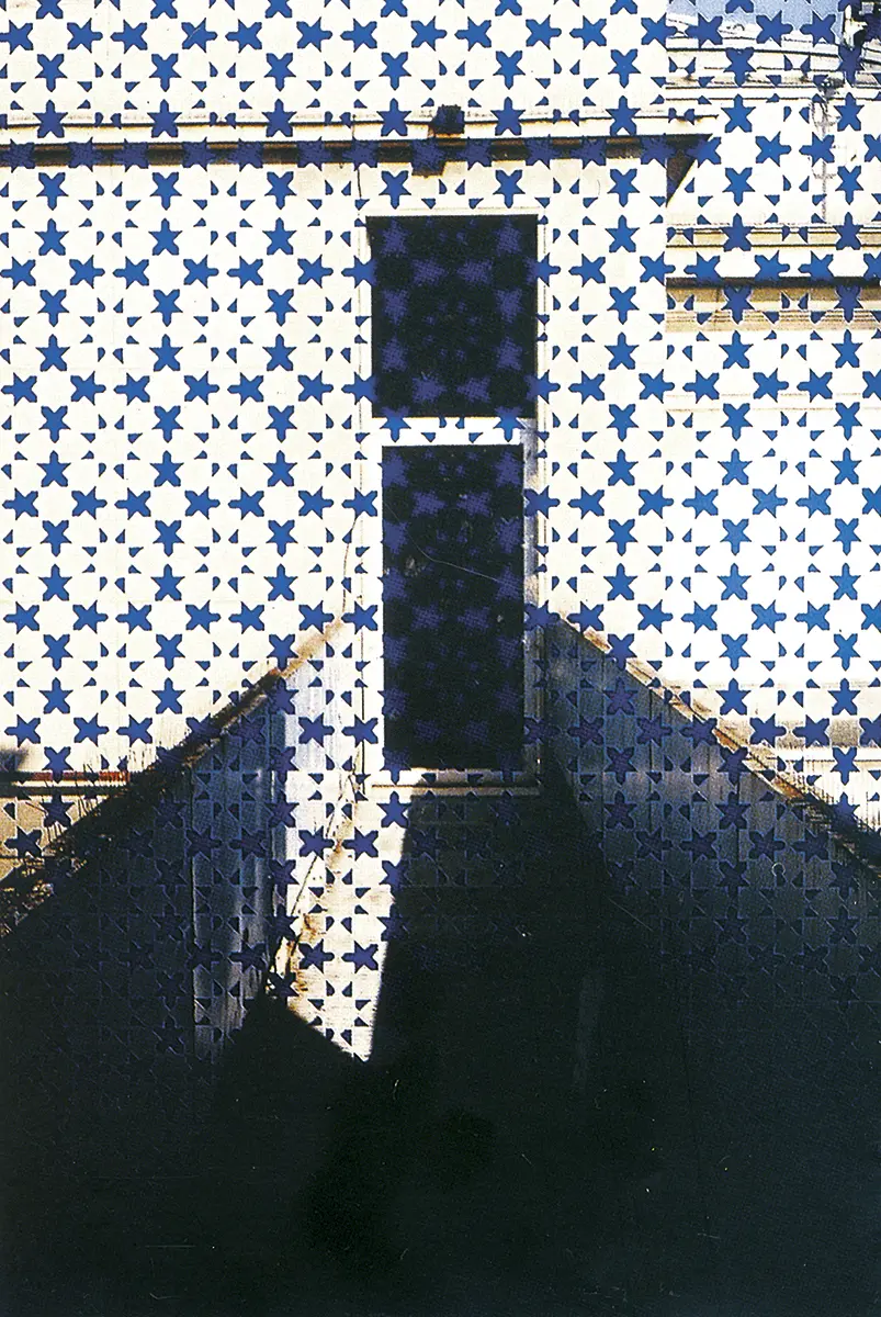 Bienal: La Bienal de Venecia — imagen 6