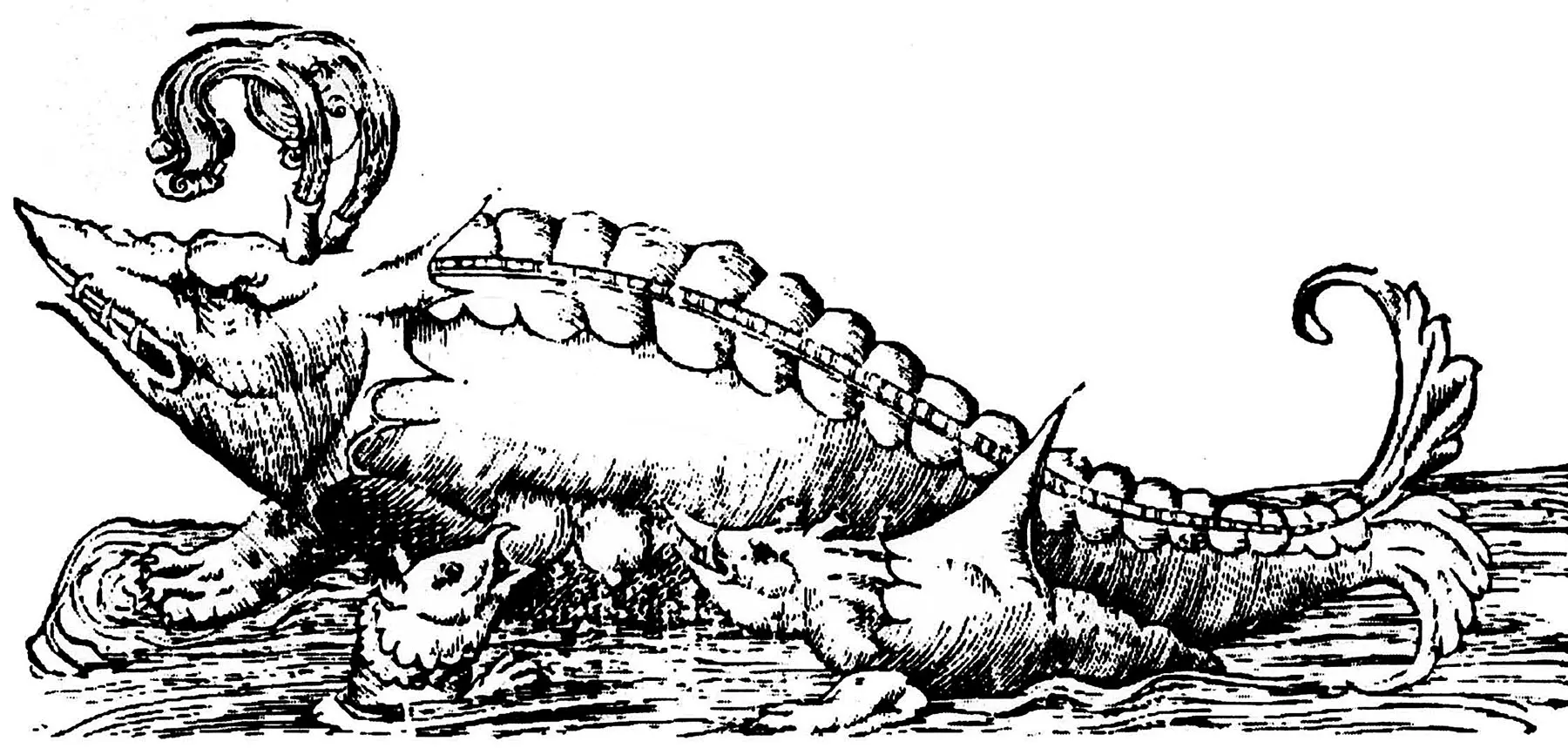 El techo de la Ballena (1961-1968)