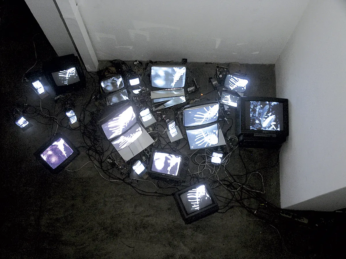 Exposición Individual: José Alejandro Restrepo — imagen 1