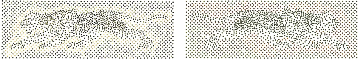 Monografía: Miguel Ángel Rojas  — imagen 8