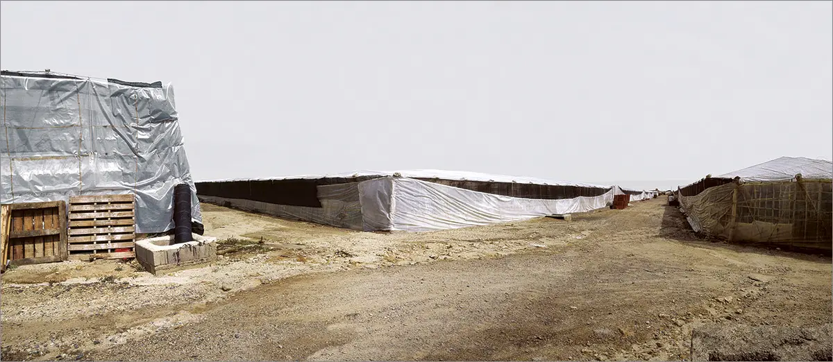 Feria: ARCO 2003 — imagen 9