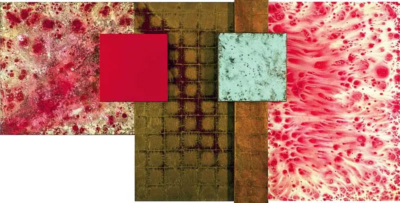 Monografía: Antonio Dias — imagen 5