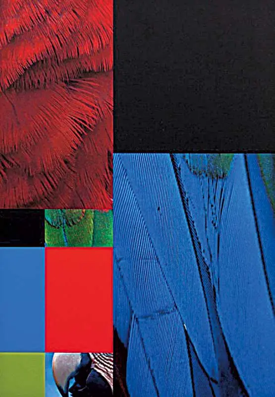 Ensayo: Abstracciones significativas — imagen 11