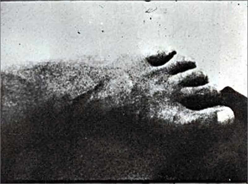 Colectiva: Expoprojeção 1973-2013 — imagen 3