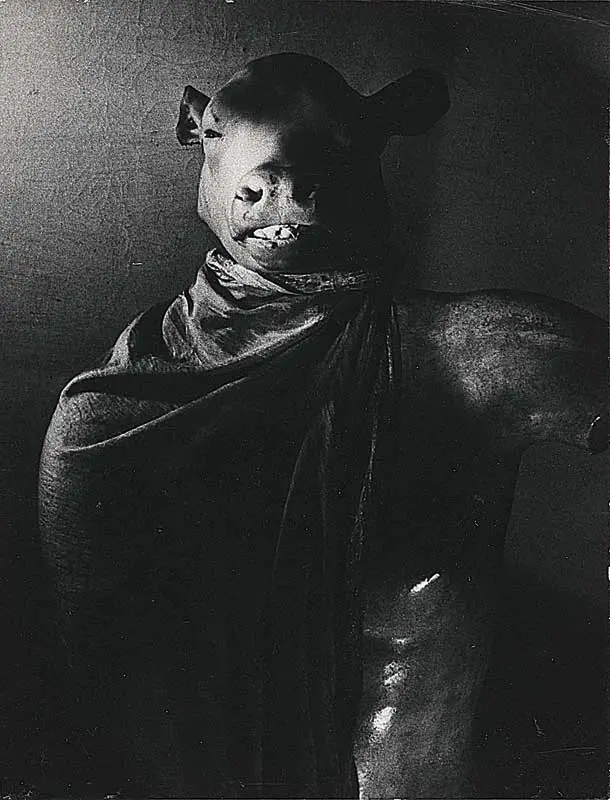 Colectiva: Modernités Plurielles, 1905 – 1970 — imagen 7