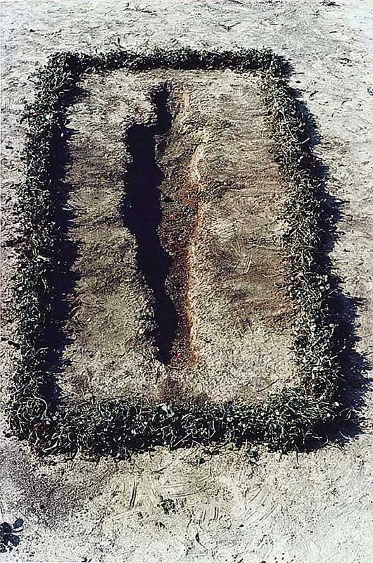 Colectiva: Pulso alterado — imagen 1