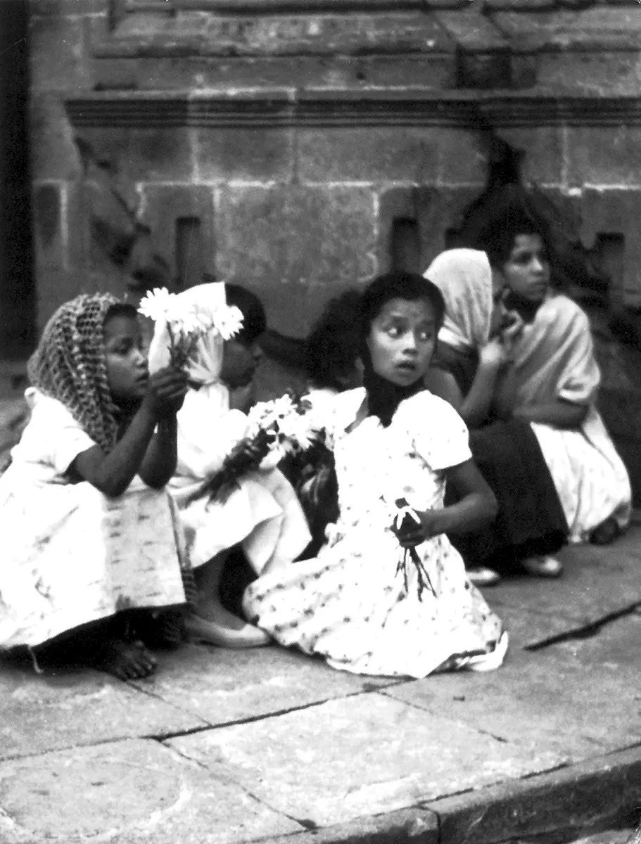 Otros: Galería Virtual Latina — imagen 1