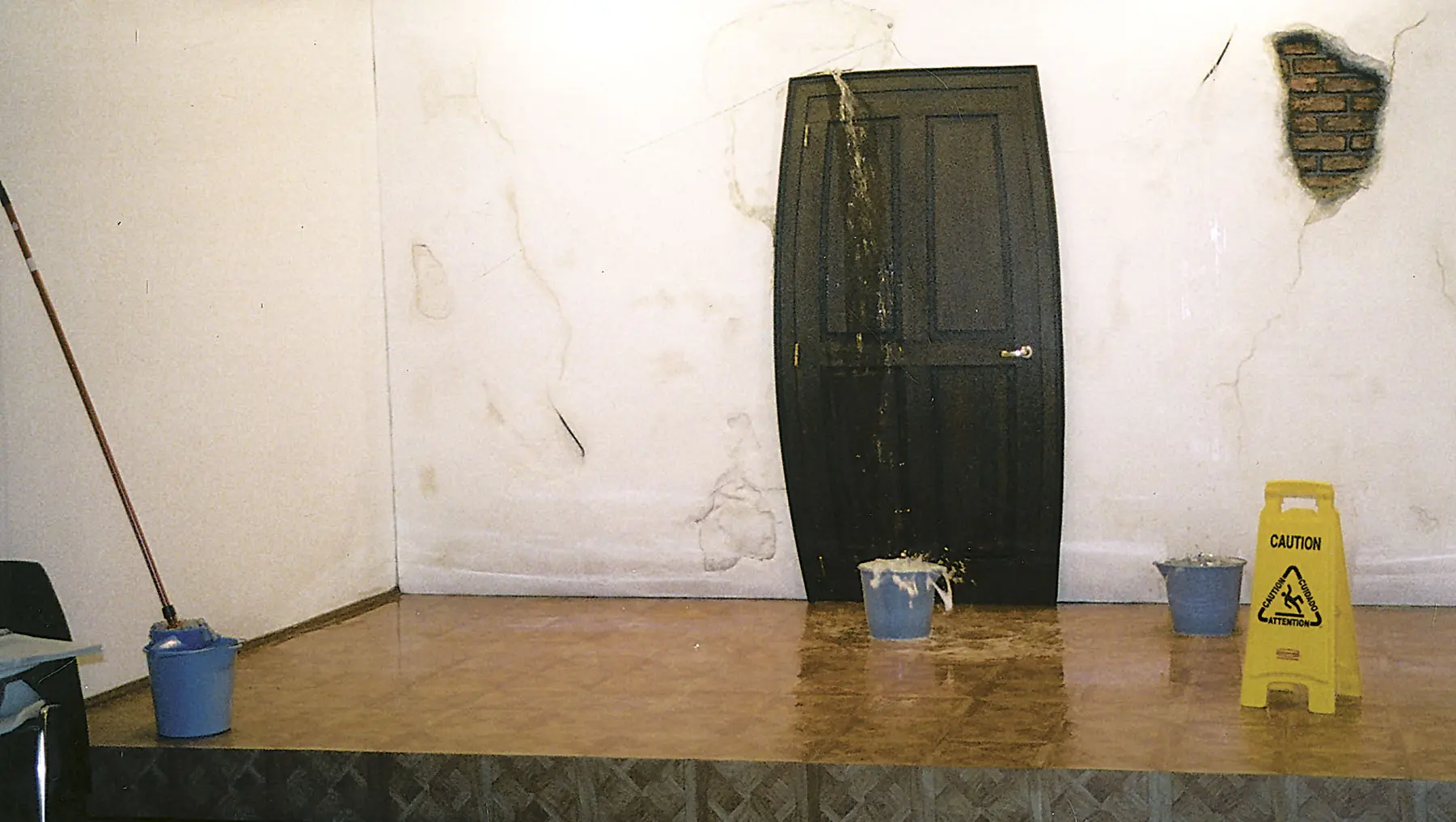 ARCO 2006
