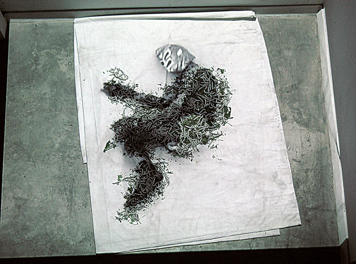 Exposición Individual: José Alejandro Restrepo — imagen 1