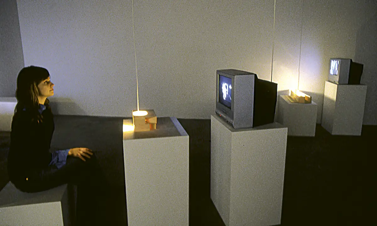 Exposición Individual: Tania Bruguera — imagen 1