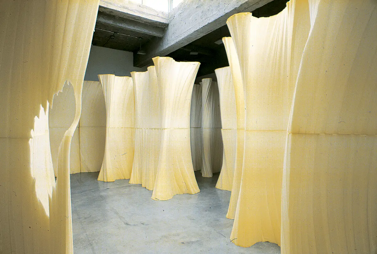 Exposición Individual: Ernesto Neto — imagen 1