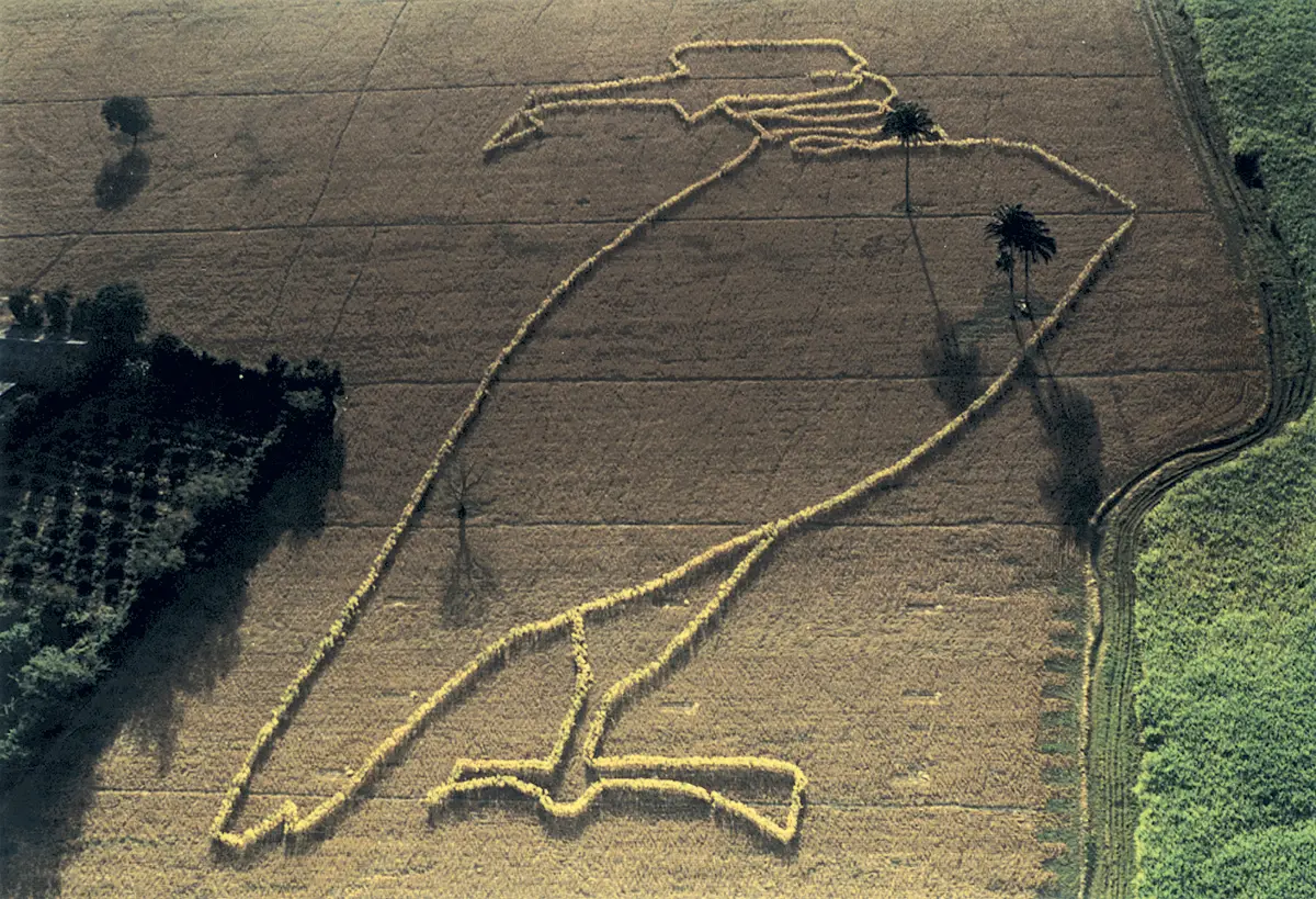 Colectiva: Sólo dibujo — imagen 1