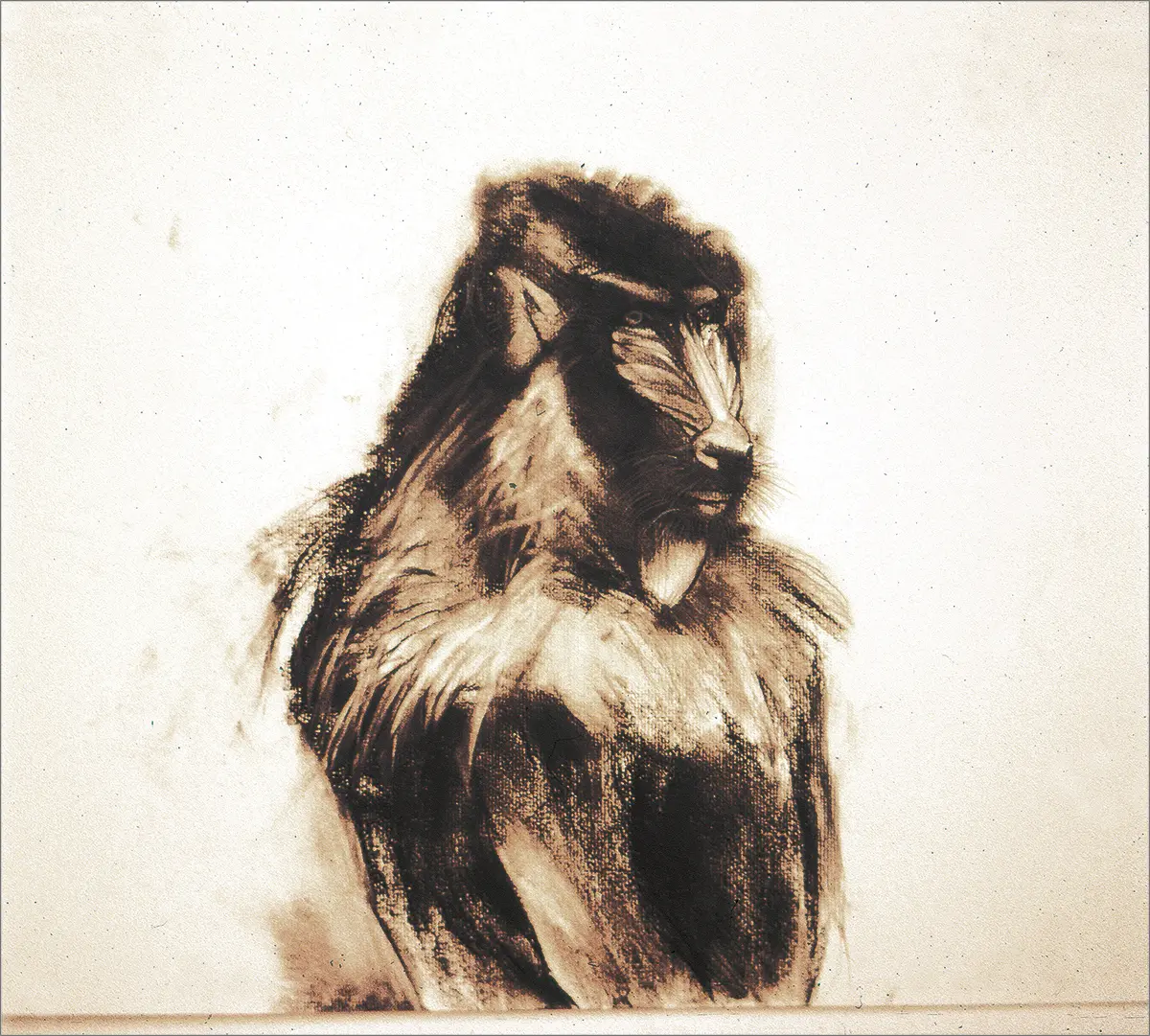Colectiva: Sólo dibujo — imagen 2