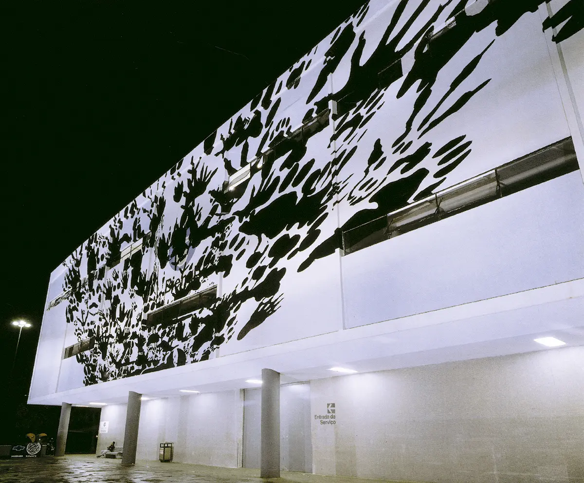 Monografía: Regina Silveira — imagen 6