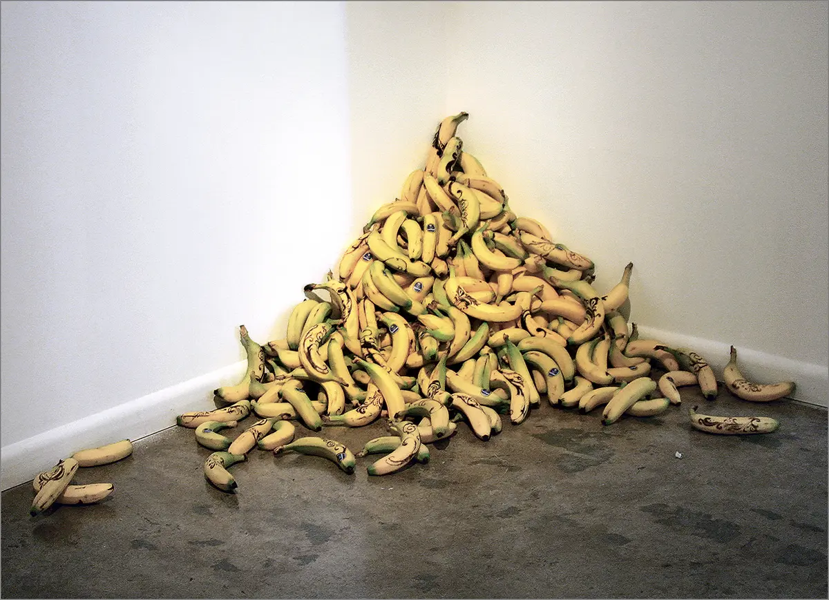 Monografía: Gonzalo Fuenmayor — imagen 1