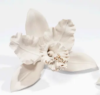 SERIE CATTLEYA AG-076