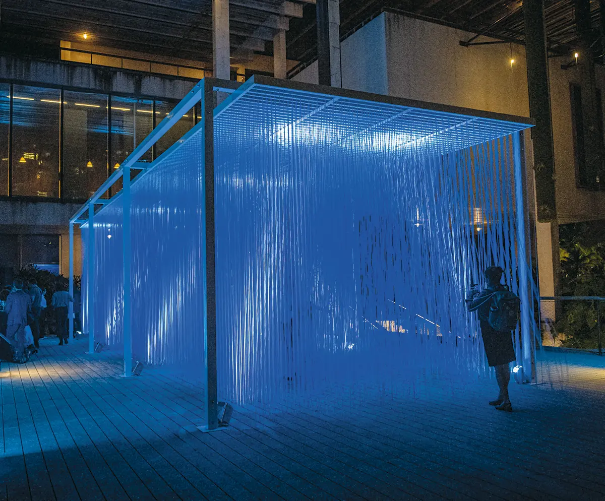 Monografía: Lectura alternada sobre Jesús Soto y Carlos Cruz-Diez — imagen 7
