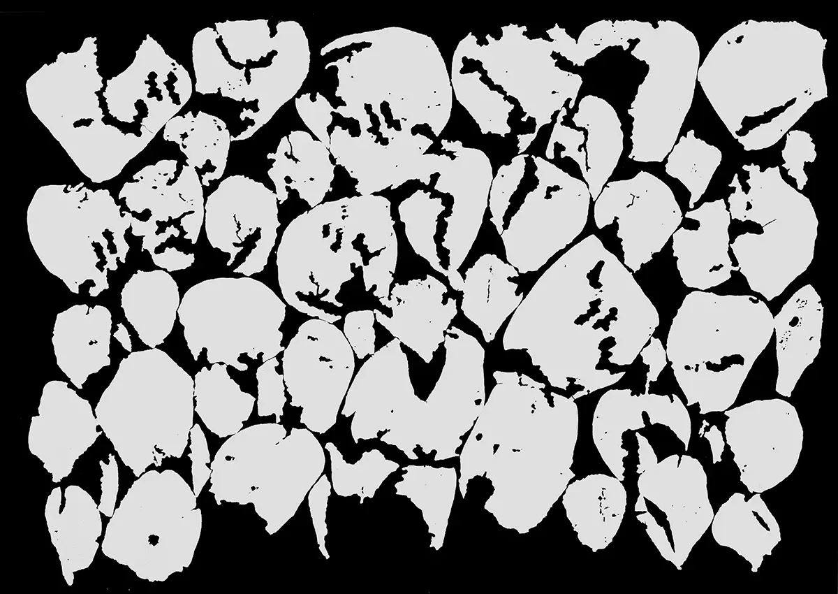 Monografía: El momento Sheroanawë — imagen 4