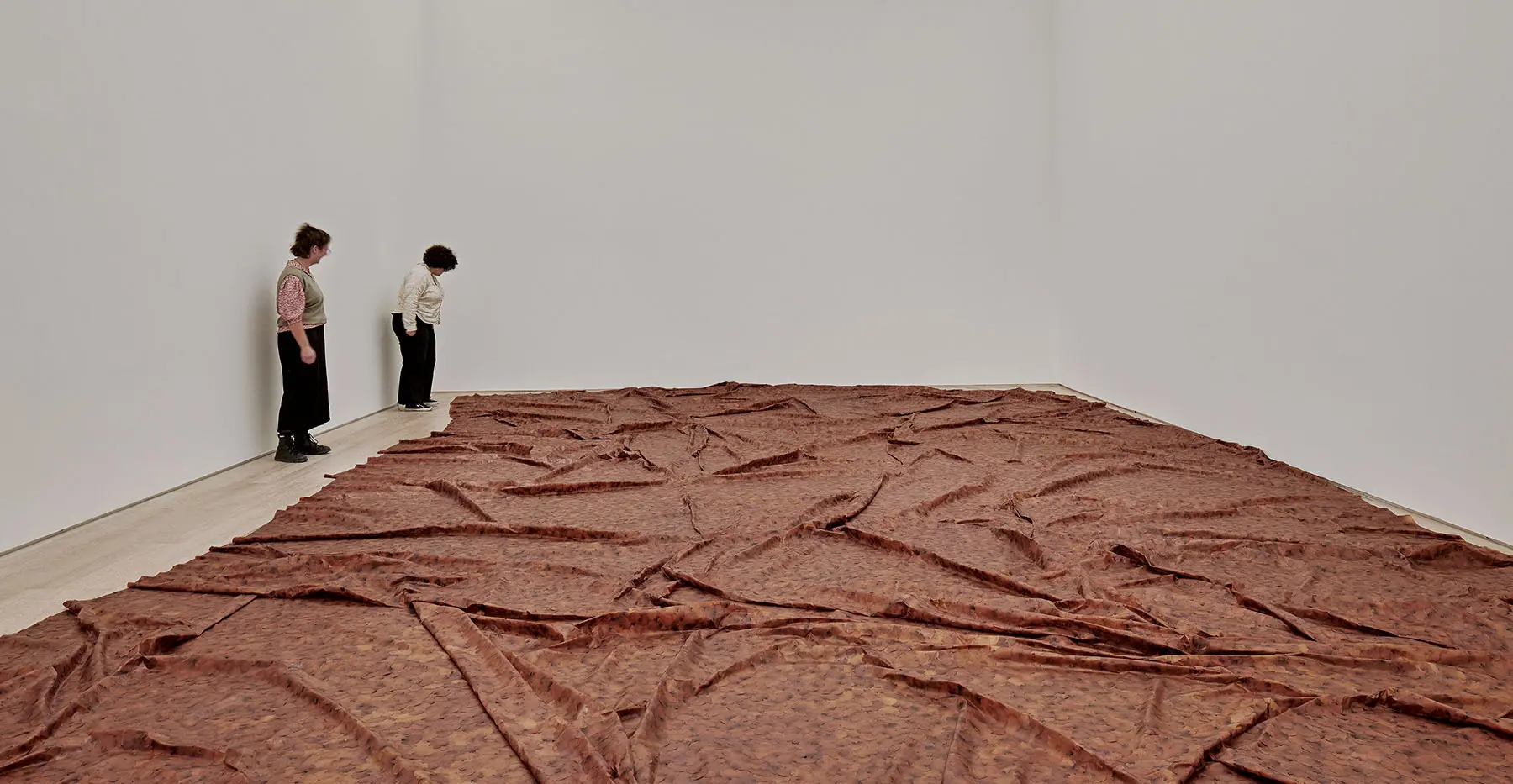 Doris Salcedo