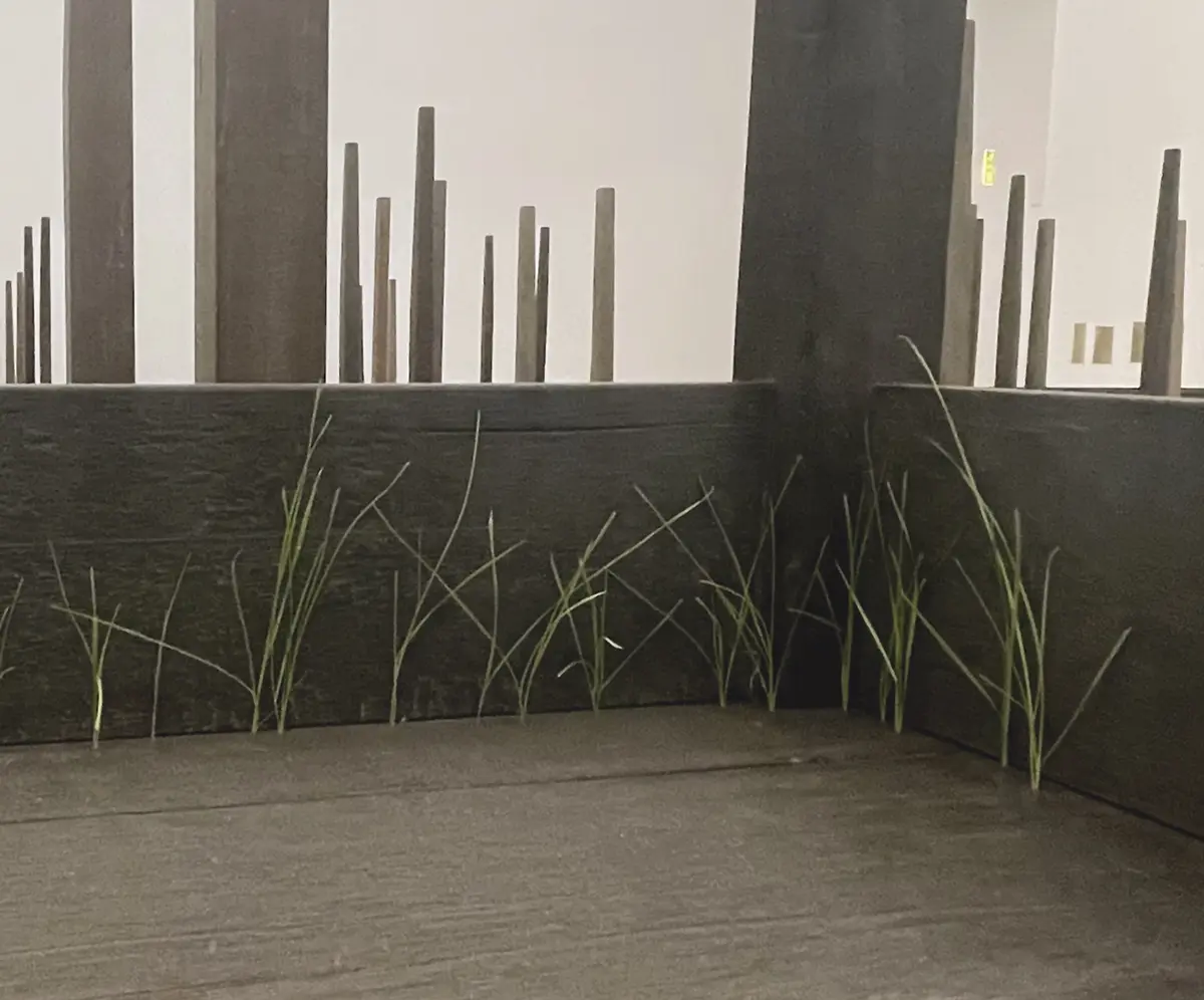 Monografía: Doris Salcedo — imagen 2