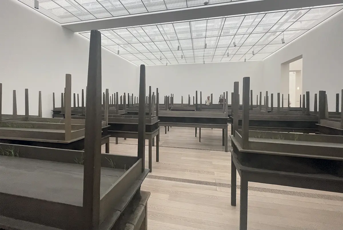 Monografía: Doris Salcedo — imagen 1