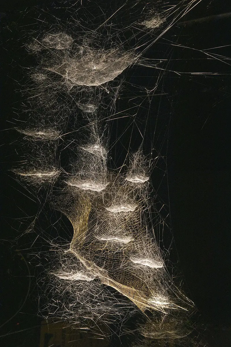 Monografía: Tomás Saraceno — imagen 1