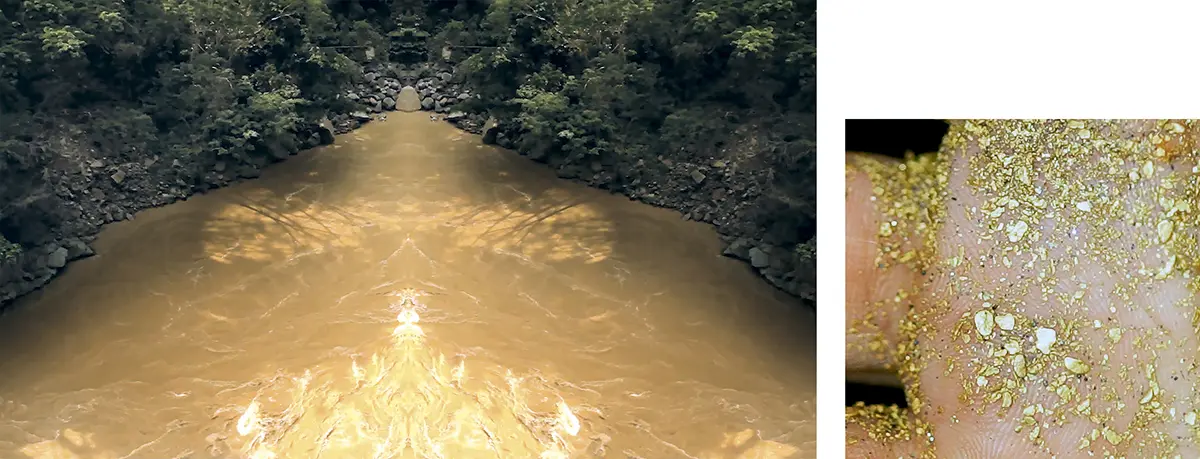 Colectiva: El Dorado. Un territorio — imagen 6