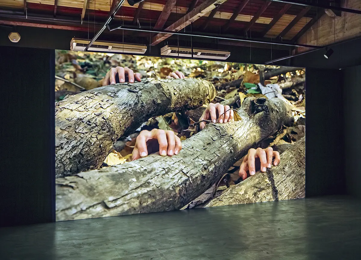 Exposición Individual: Donna Conlon & Jonathan Harker  — imagen 1